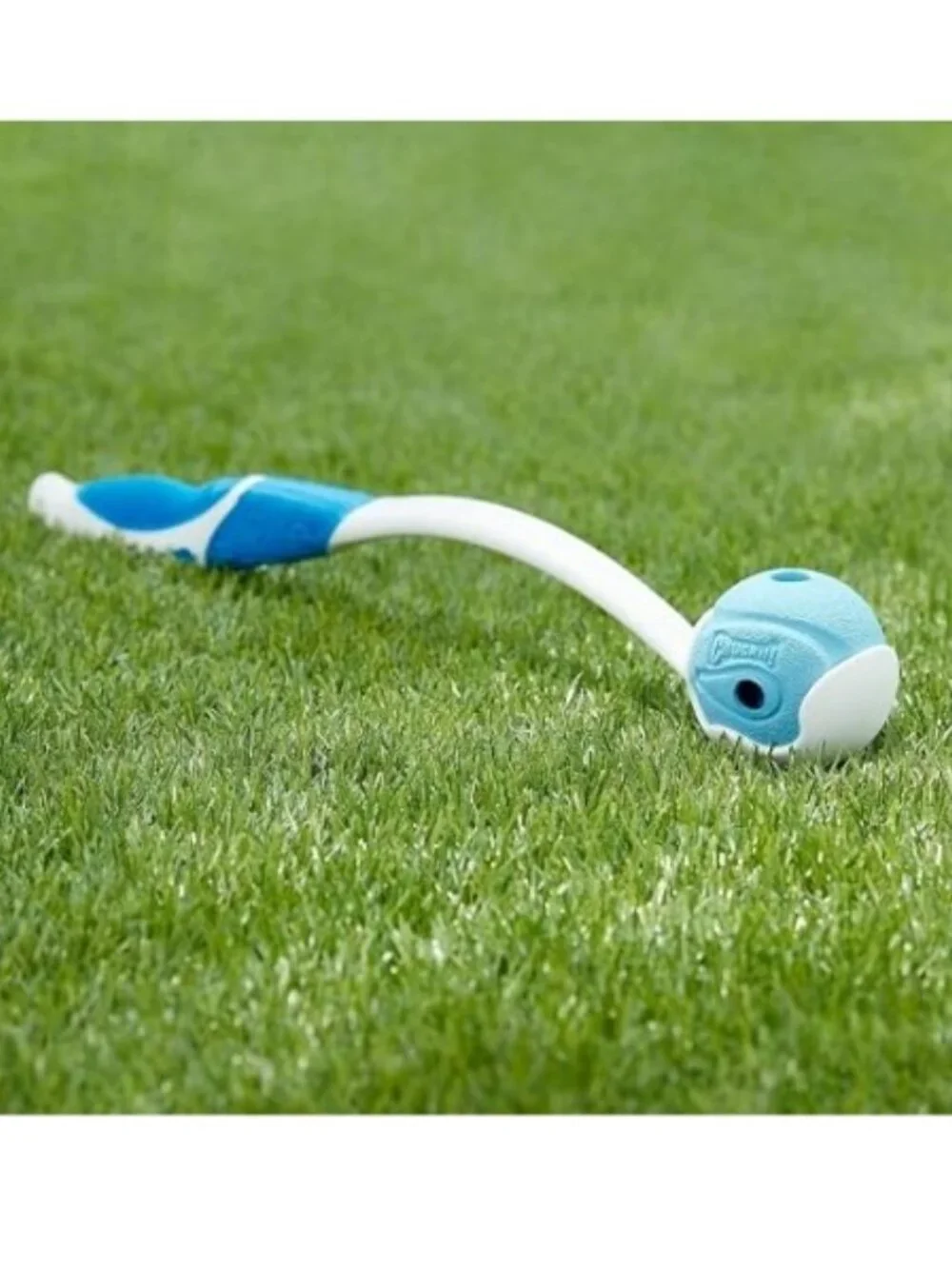 𝗖𝗵𝘂𝗰𝗸𝗶𝘁! 𝗧𝗛𝗘 𝗪𝗛𝗜𝗦𝗧𝗟𝗘𝗥 Ball Dog Toy Blue (Size Medium)